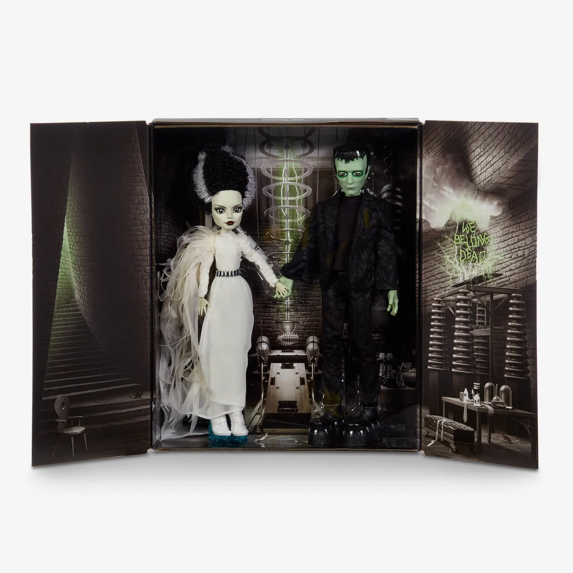 Frankenstein & Bride of Frankenstein Monster High Skullector Doll Set - Image 8